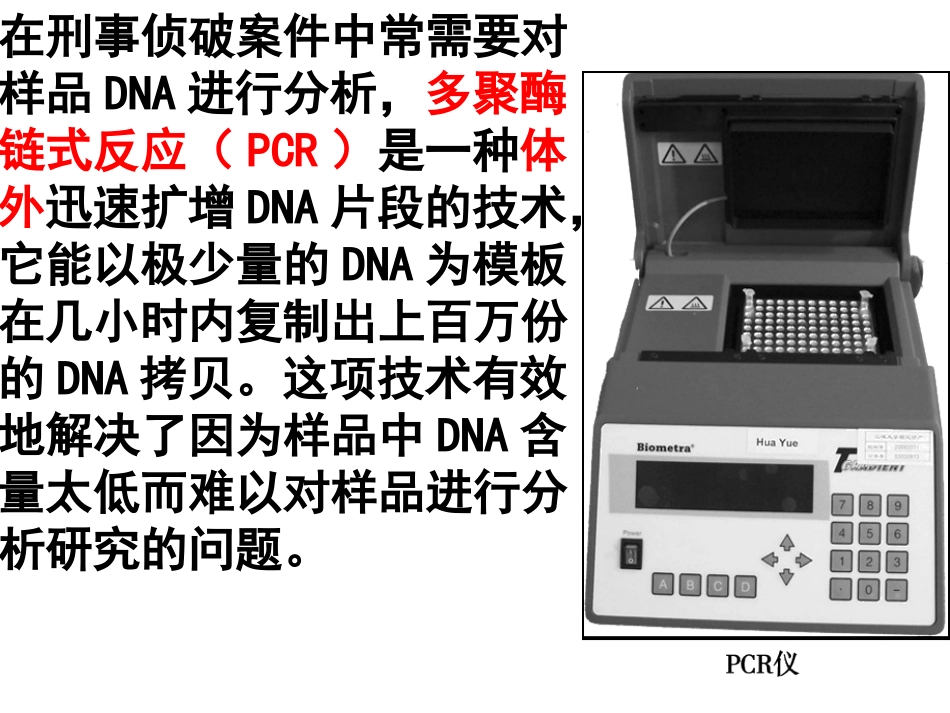 多聚酶链式反应扩增DNA片段_第3页