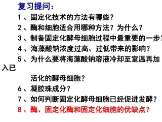 多聚酶链式反应扩增DNA片段