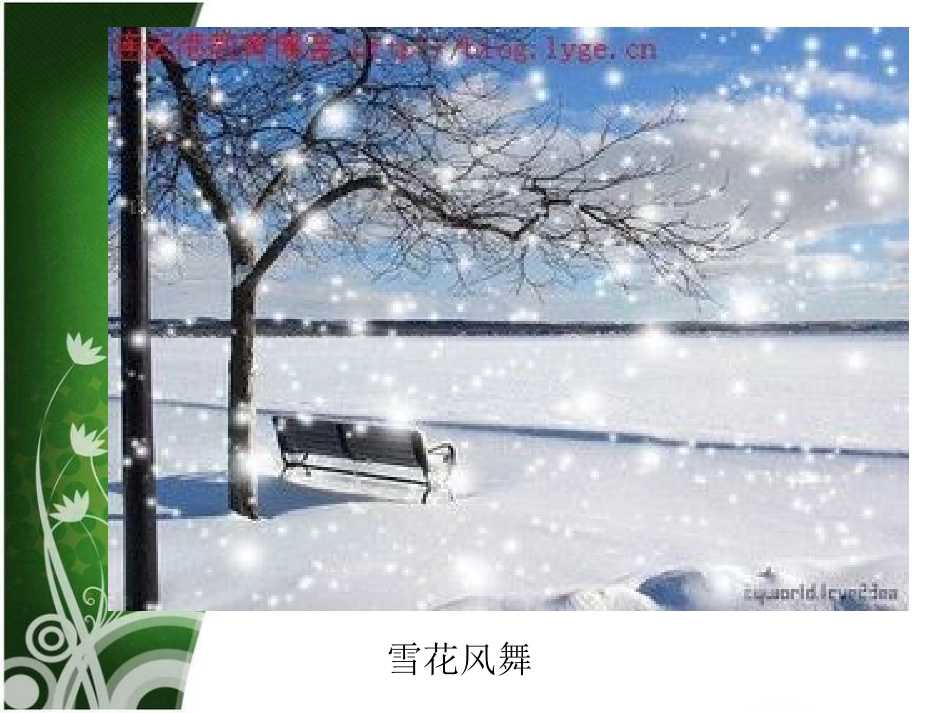 多样的天气课件_第3页
