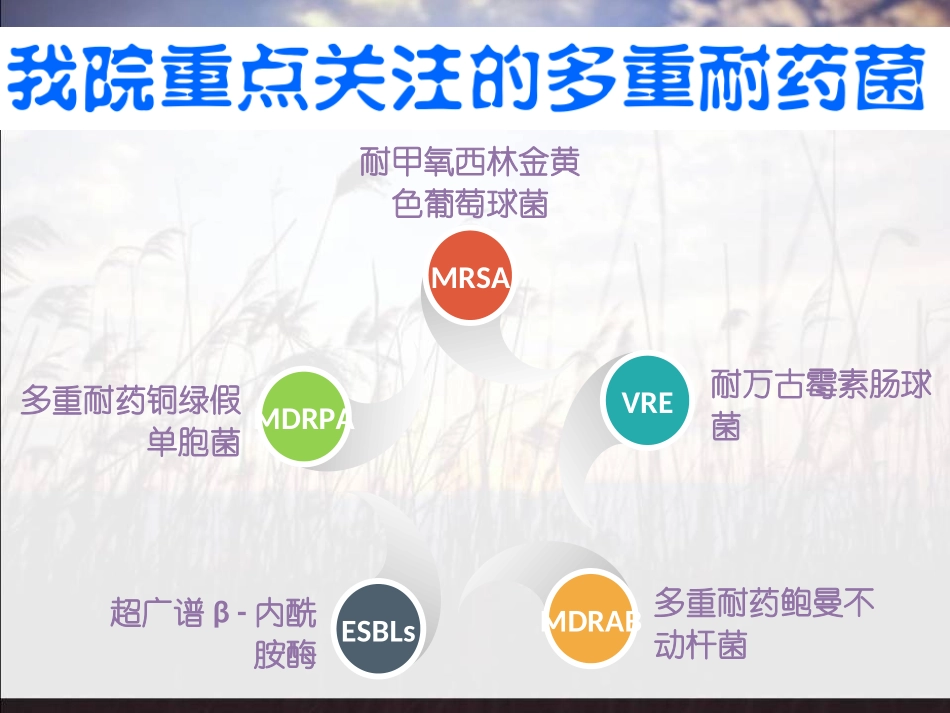 多重耐药菌管理_第3页