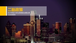 二胎政策社会调查报告PPT课件