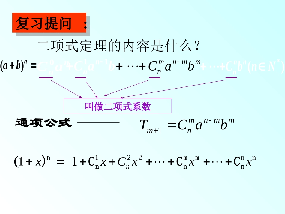 二项式定理与二项式系数的性质应用_第2页