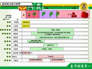 番茄生长周期表