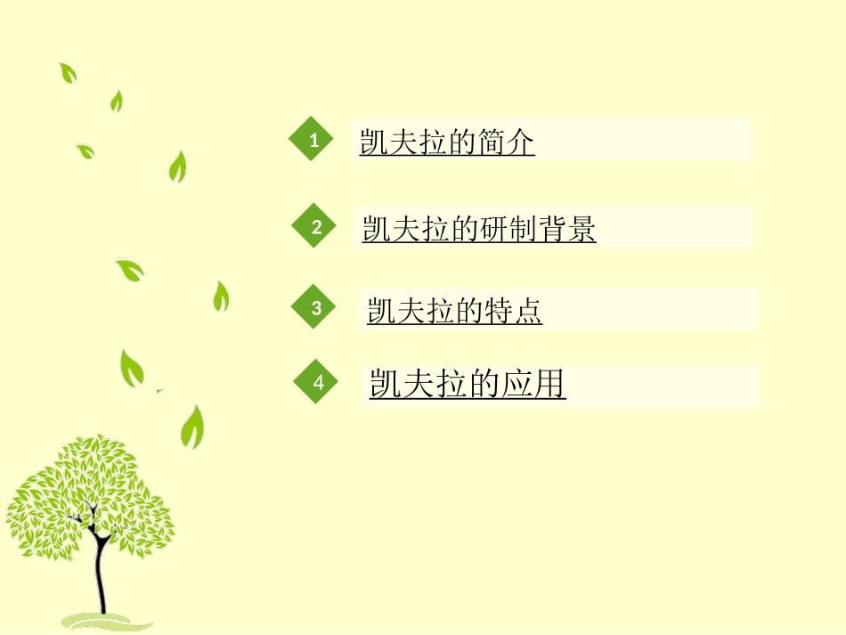 芳纶纤维凯夫拉应用_第2页