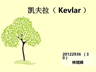 芳纶纤维凯夫拉应用