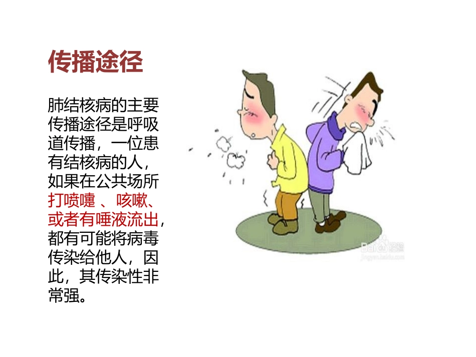 防治结核病班会_第3页