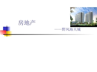 房地产野风海天城调查报告