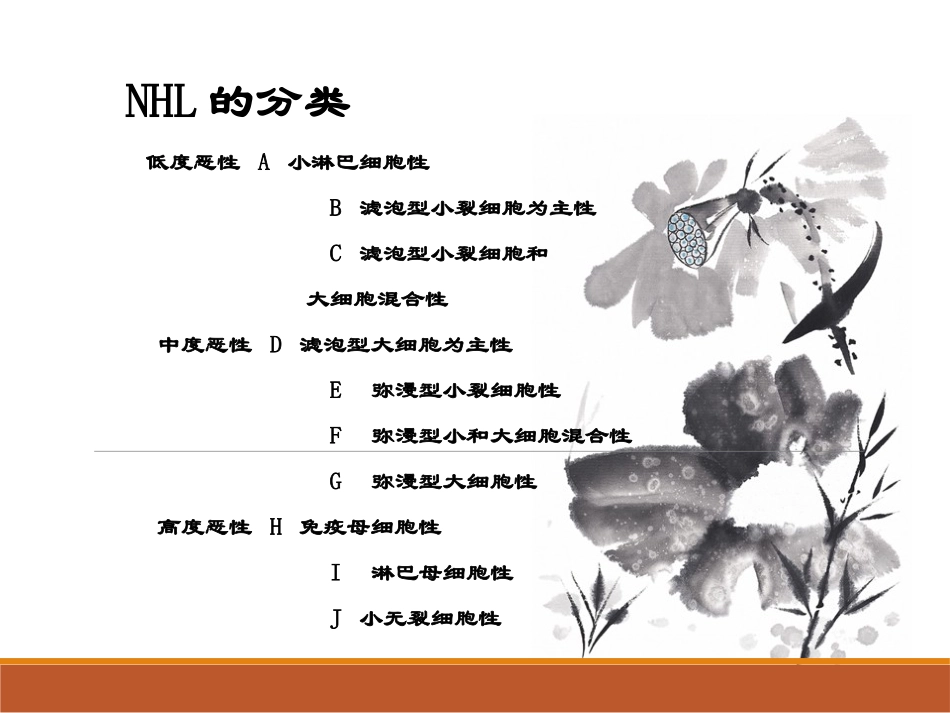 非霍奇金淋巴瘤医学_第3页