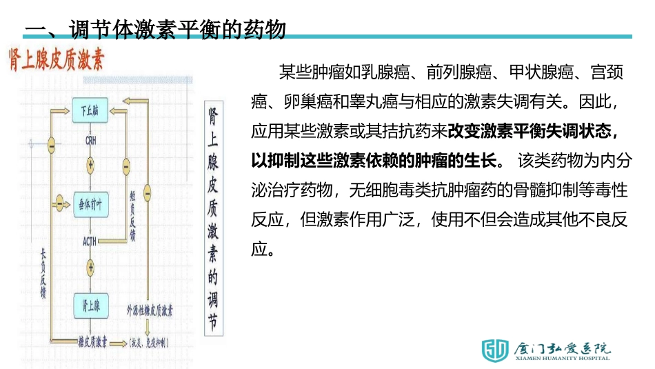非细胞毒类抗肿瘤药_第3页