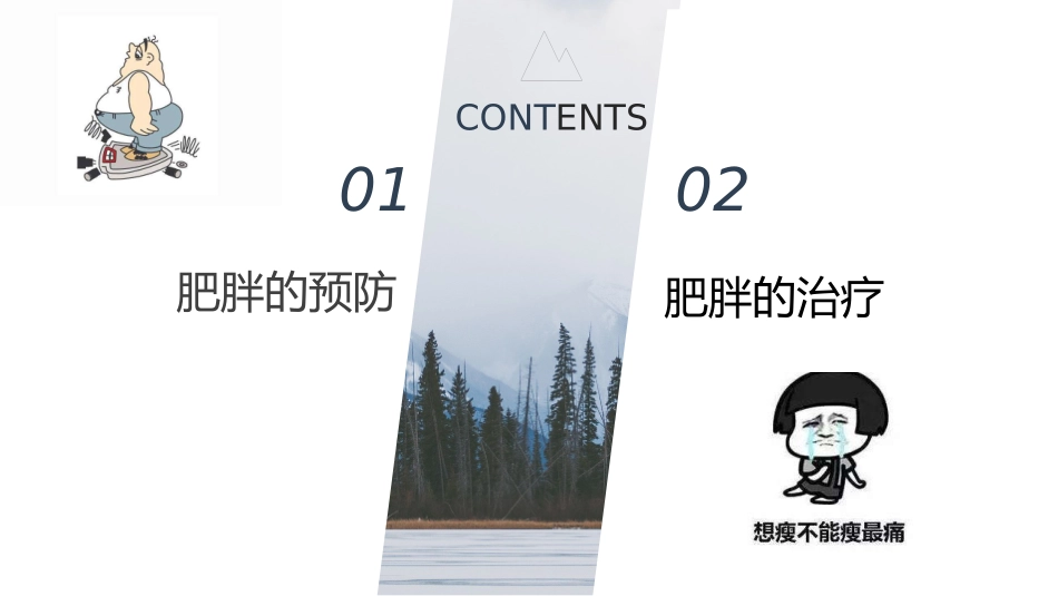 肥胖的预防和治疗_第2页