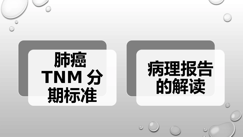 肺癌分期分级及病理报告解读_第2页