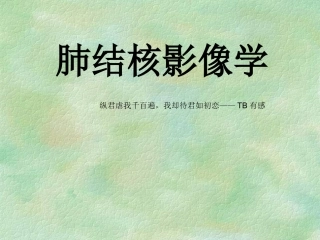 肺结核影像学CT精华版