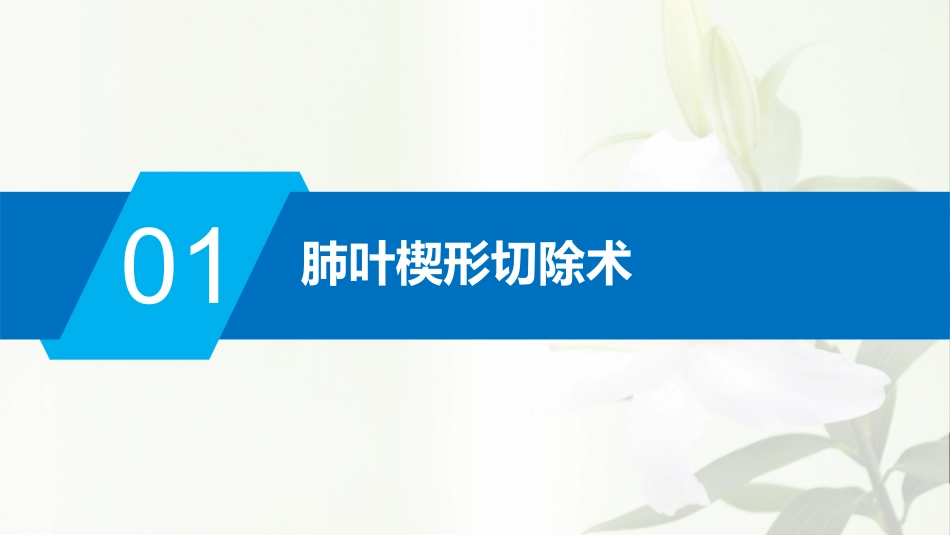 肺楔切相关知识_第2页