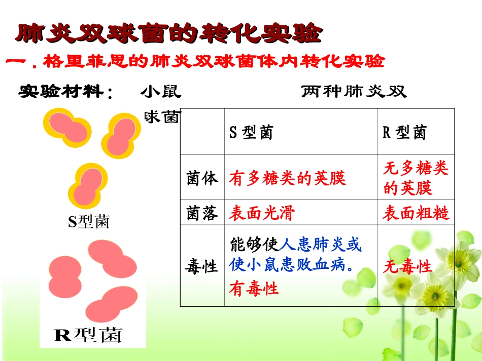 肺炎双球菌的转化实验_第2页