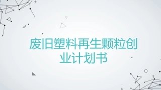 废旧塑料再生颗粒创业计划书