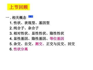 分离定律计算理