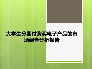 分期付调查报告