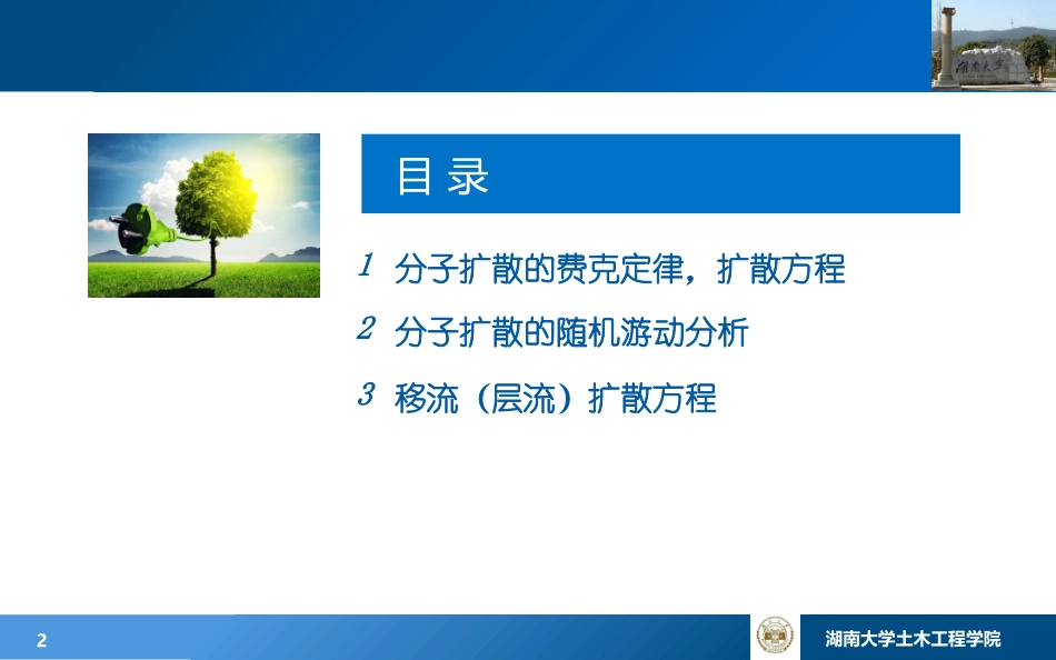 分子移流扩散理论_第2页