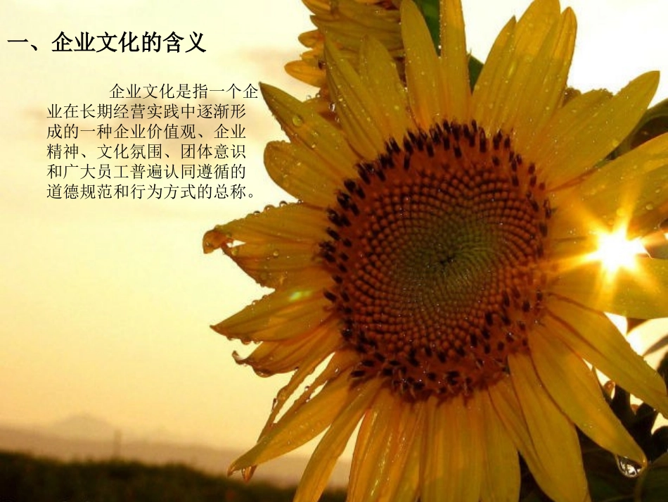 服装企业文化_第2页