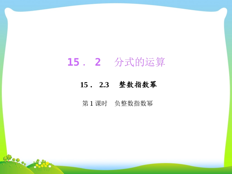 负整数指数幂课件_第1页