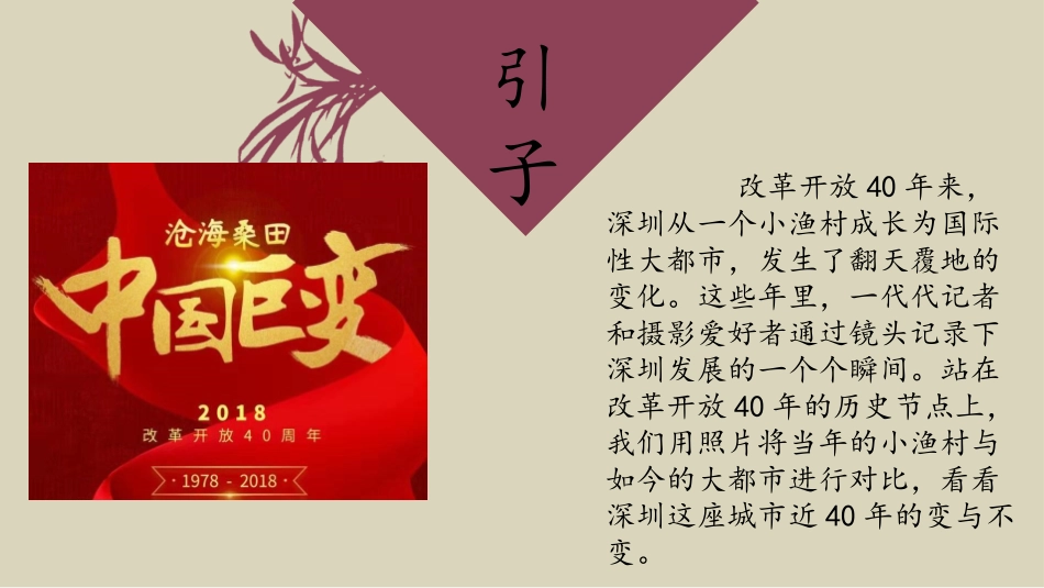 改革开放40周年深圳的变化_第3页