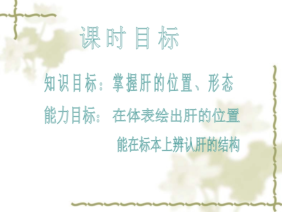 肝的位置形态_第2页