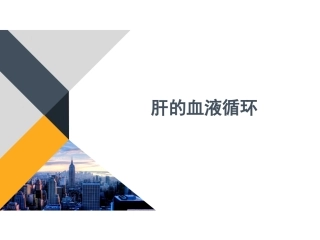 肝的血液循环