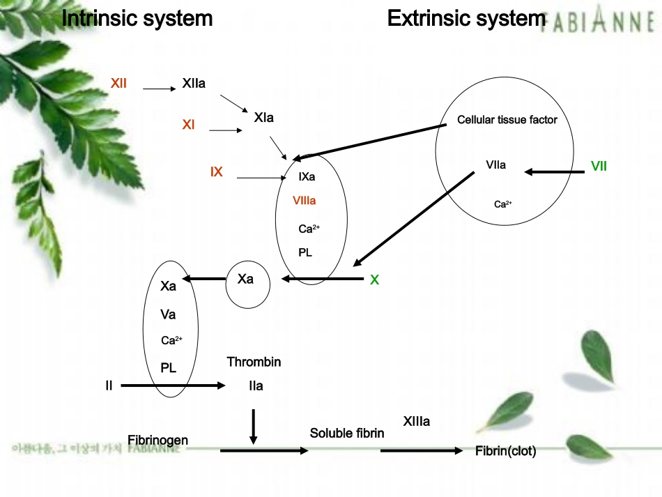 肝素及低分子肝素的监测及副作用_第2页