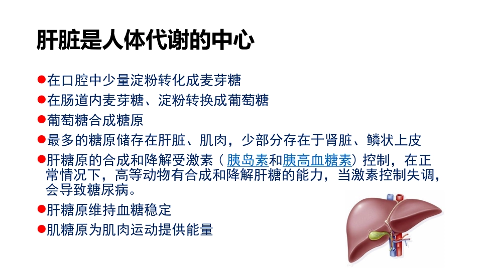 肝脏的糖代谢_第3页