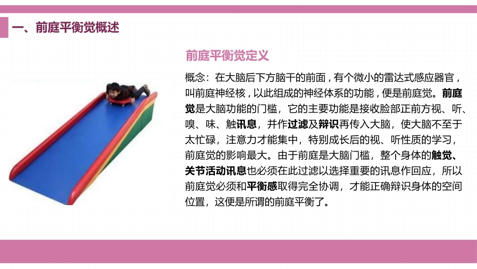 感统前庭觉概述_第2页