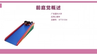 感统前庭觉概述