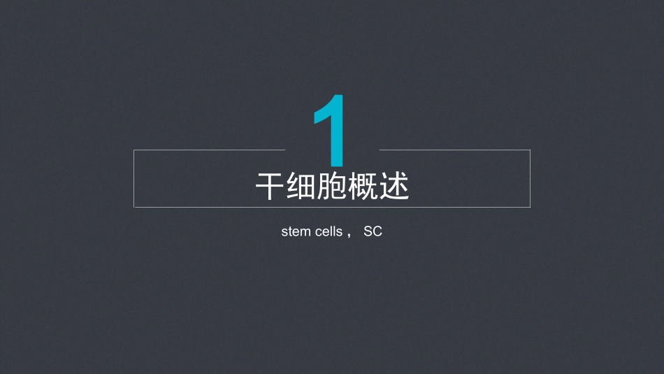 干细胞分类及特点_第3页