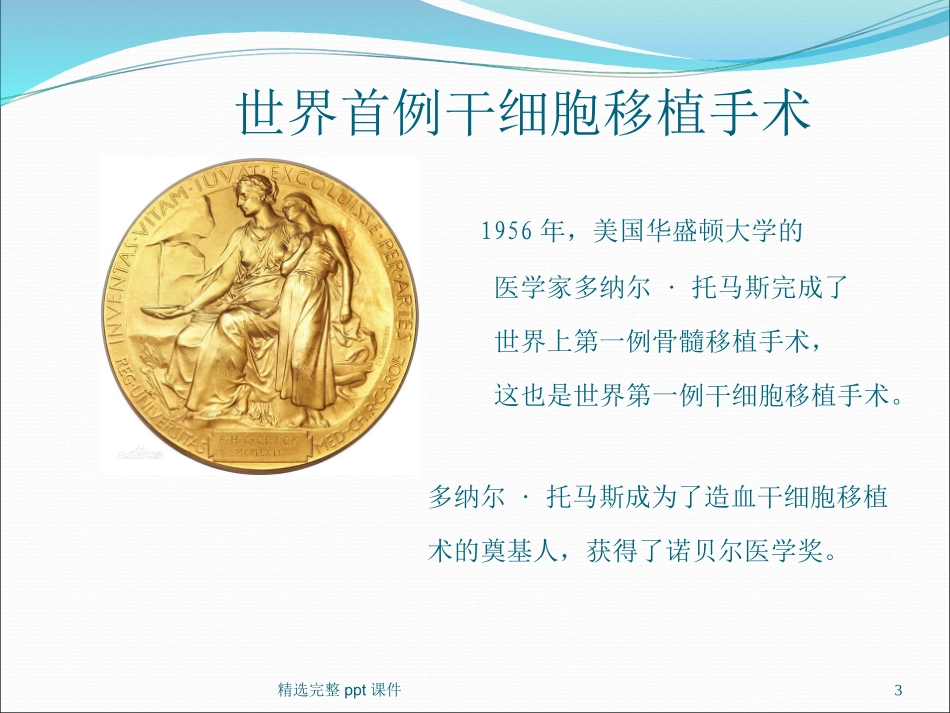 干细胞基础知识_第3页