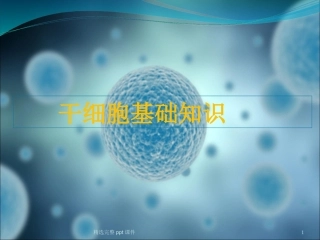 干细胞基础知识