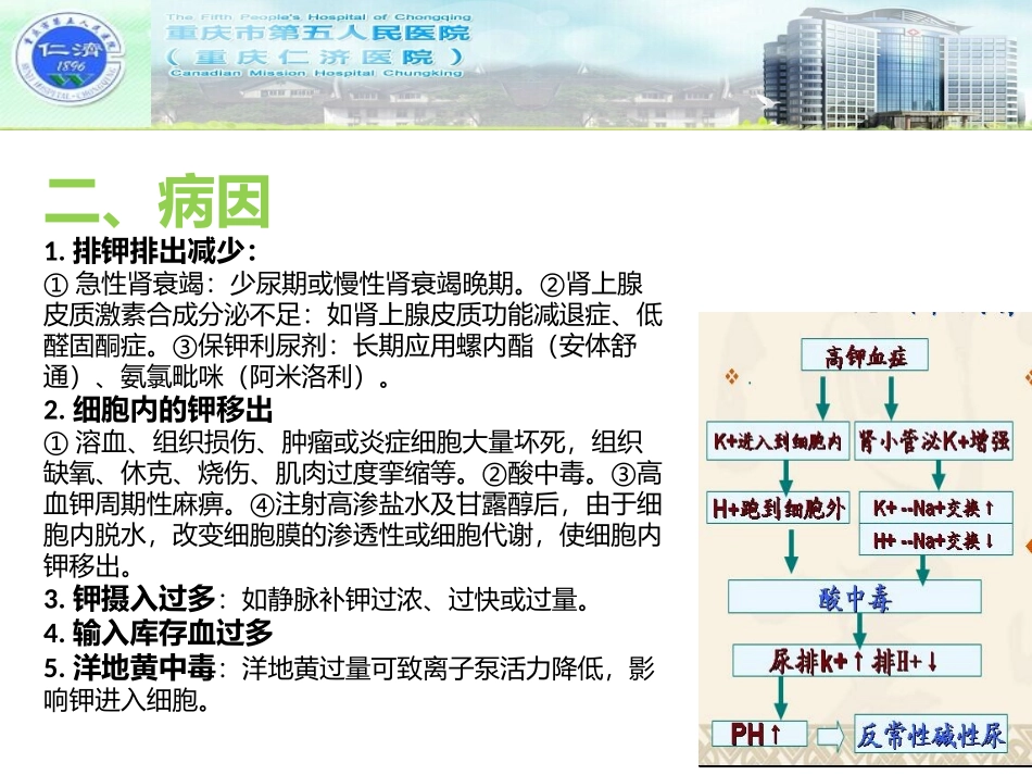 高钾血症患者护理_第3页