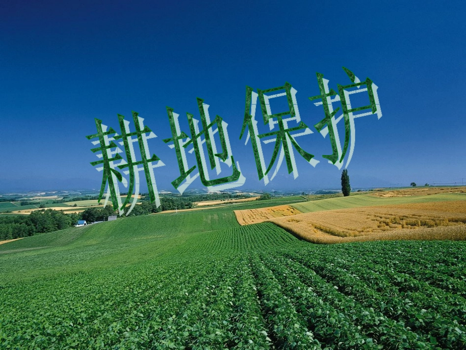 耕地保护课件_第1页