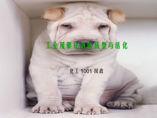 工业用催化剂的成型与活化