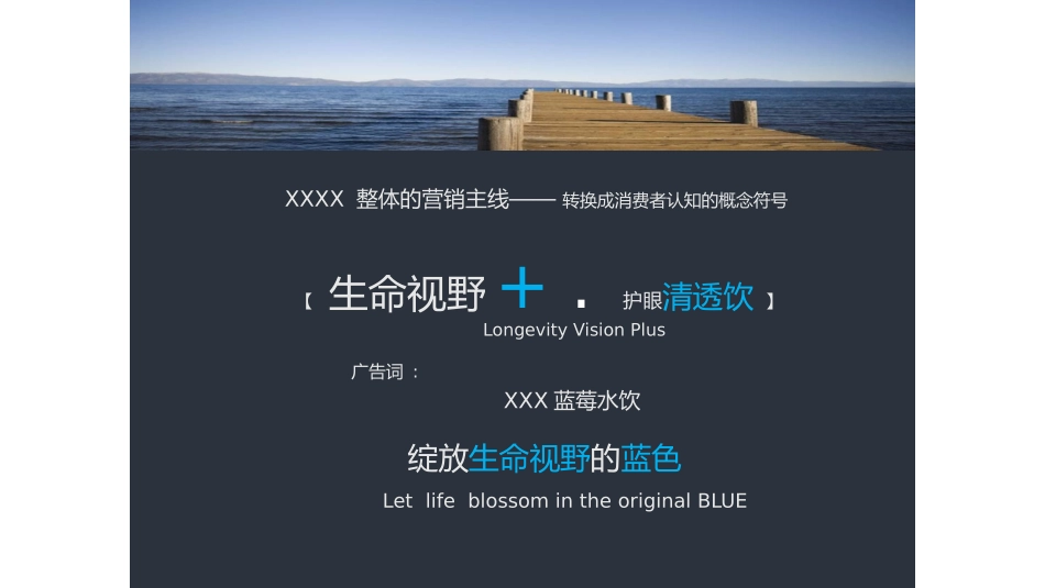 功能性饮料品牌营销策划_第3页