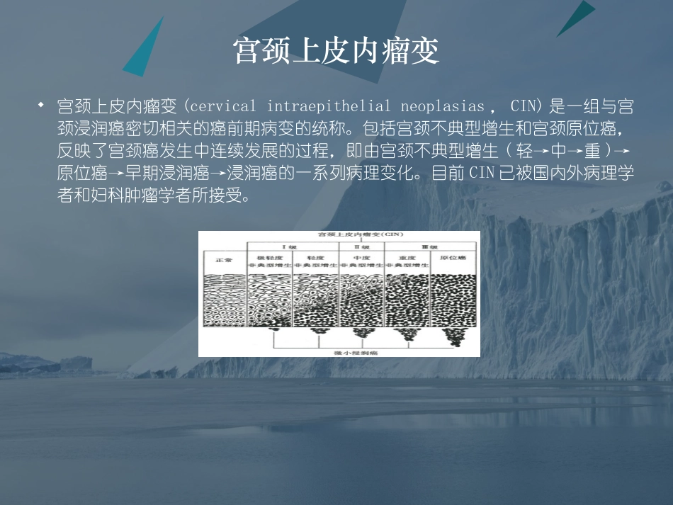 宫颈上皮瘤变图文_第2页