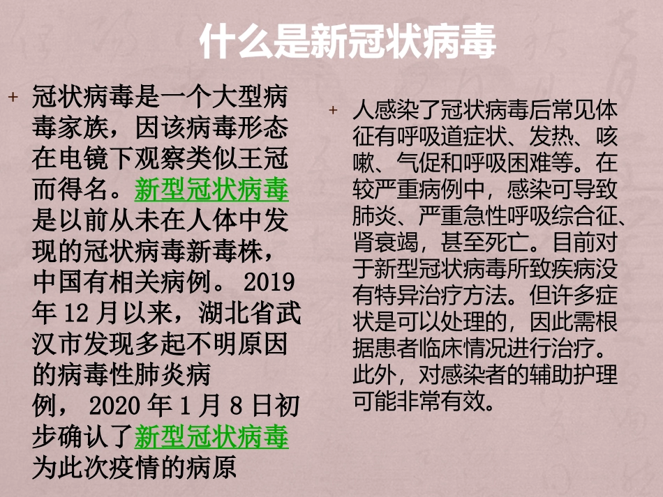 共抗疫情黄楷铮幻灯片_第2页