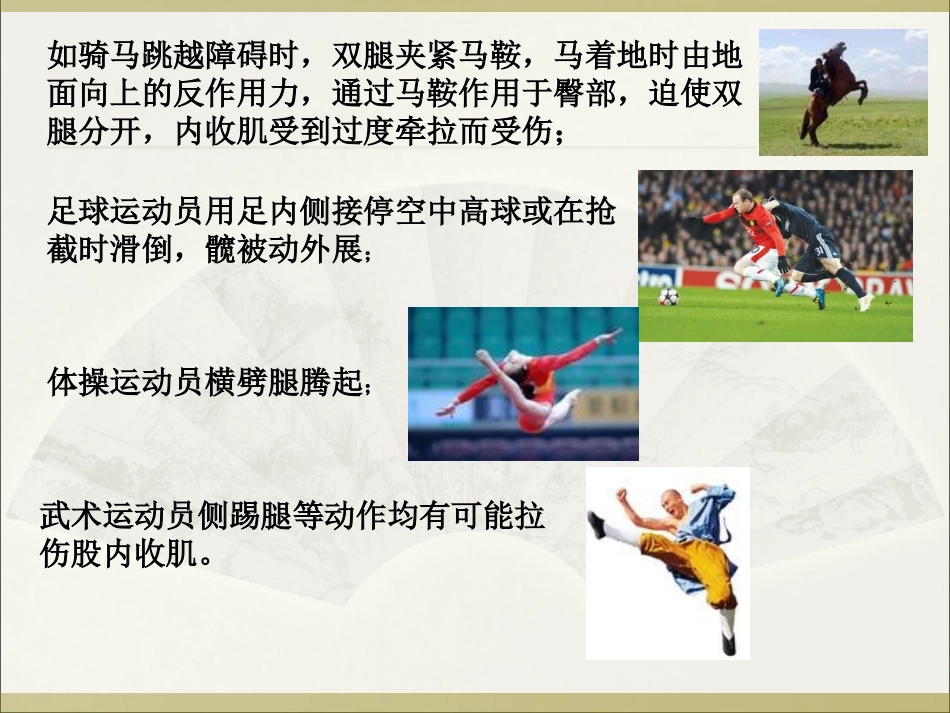 股内收肌损伤_第2页