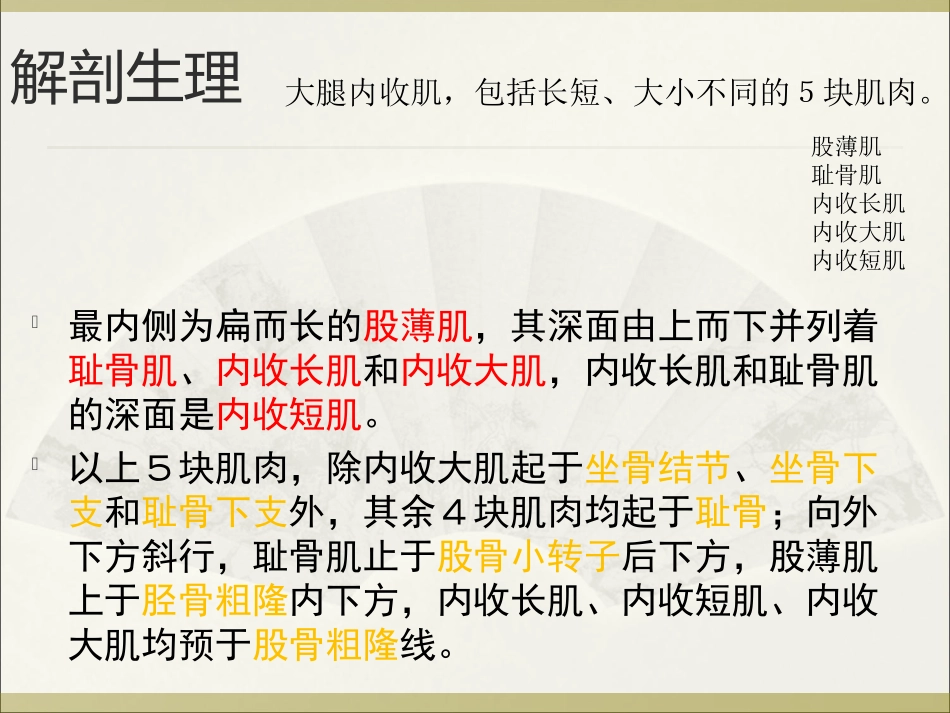 股内收肌损伤_第3页