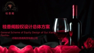 股权设计总体方案
