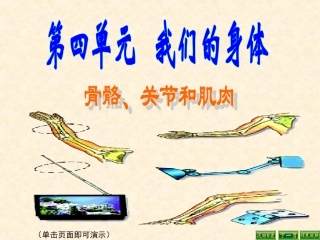 骨骼关节和肌肉