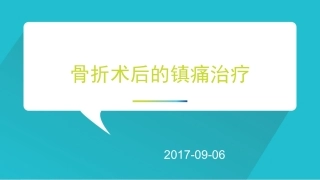 骨科术后镇痛治疗