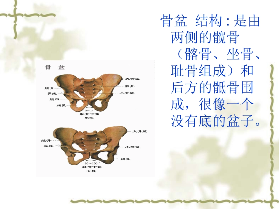 骨盆骨折的护理_第2页