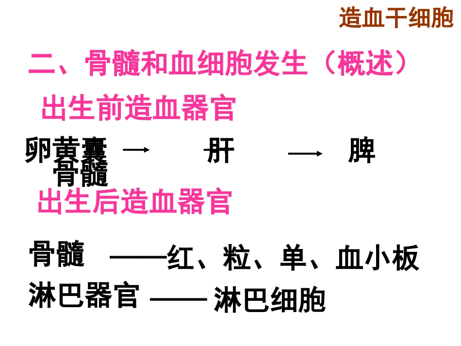 骨髓和血细胞发生概述_第2页