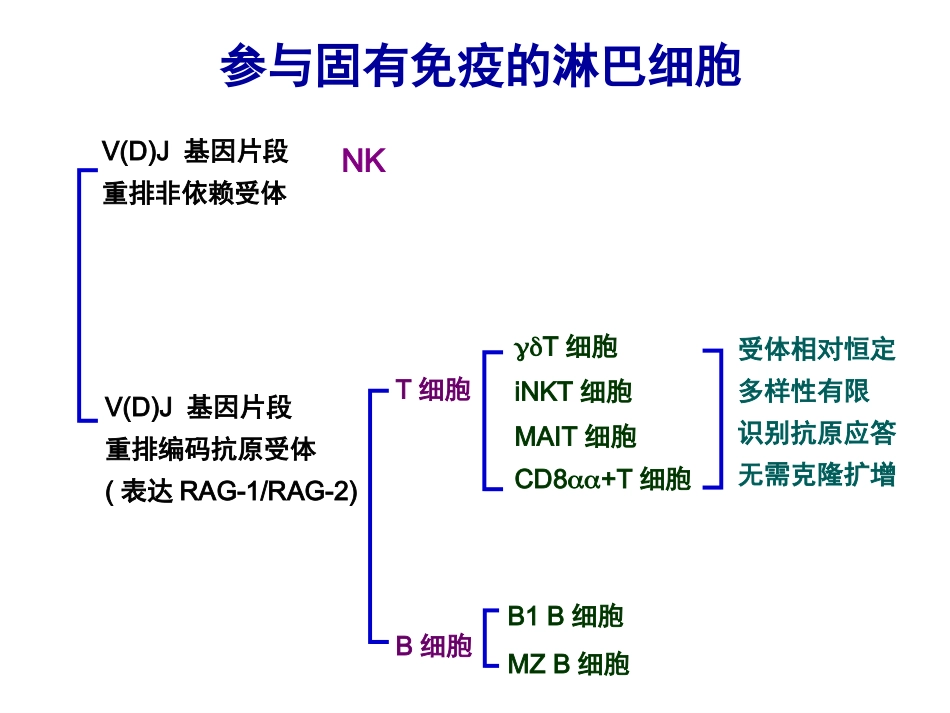 固有免疫淋巴细胞gdTNKT_第2页