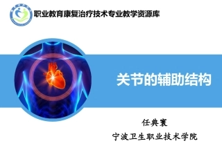 关节的辅助结构