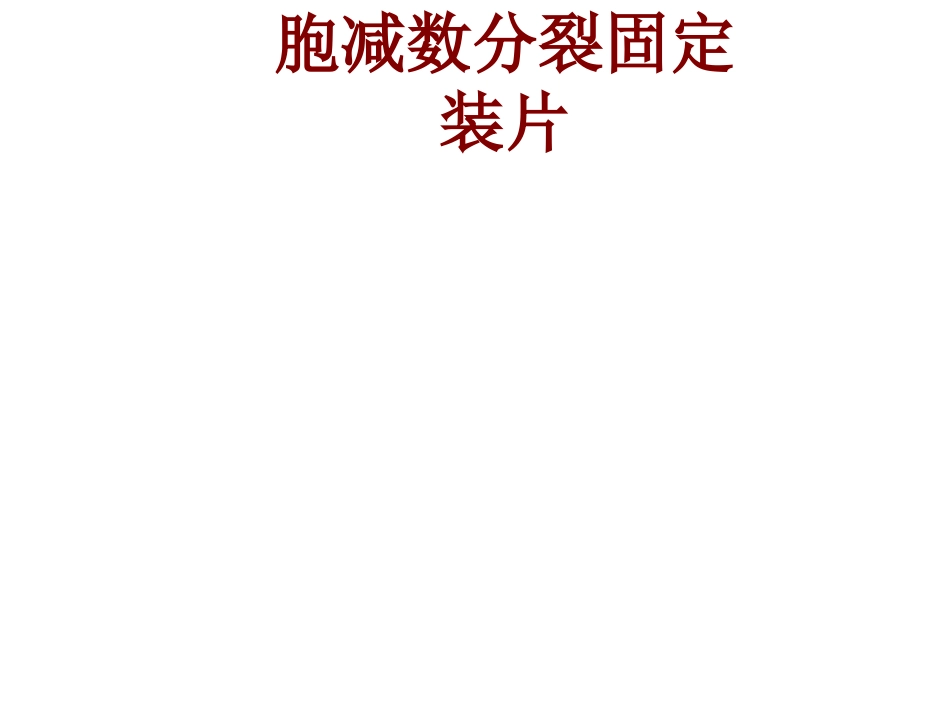 观察蝗虫精母细胞减数分裂固定装片_第1页